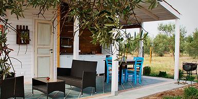 Agricampeggio Maccari