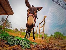 Agricampeggio Maccari