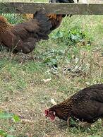 Brampton Dales Farm B&B