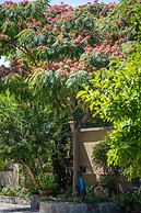 Villa Mery