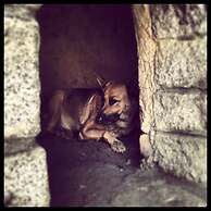 Refugio de Santiago Ecolodge