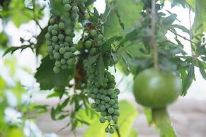 Refugio de Santiago Ecolodge