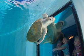 Edge Hotel Clearwater Beach