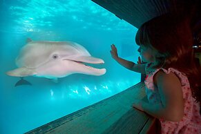 Edge Hotel Clearwater Beach