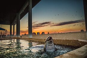 Edge Hotel Clearwater Beach