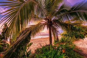 Oasis Bluff Beach