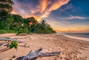 Oasis Bluff Beach