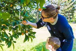 Trade Winds Country Cottages