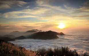 Seeking - Alishan Sunrise