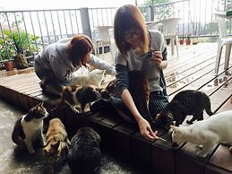 Seeking - Alishan Sunrise