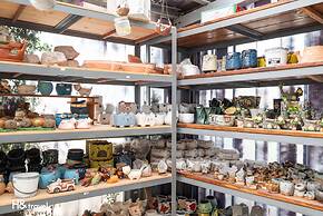 Seeking - Alishan Sunrise