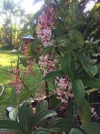 The Garden Family Guest House