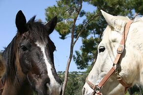 Aphrodite Hills Rentals – Junior Villas