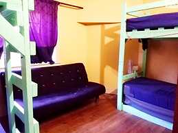 St Kilda East backpackers' hostel