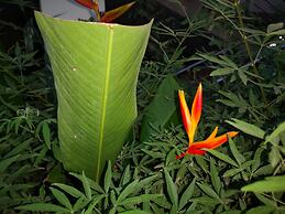 The Golden Apple Guest House