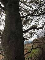 Long Mountain Centre