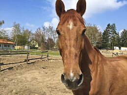 Country Inn Hotel Phöben