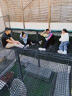 WOT Lisbon Patio - Hostel