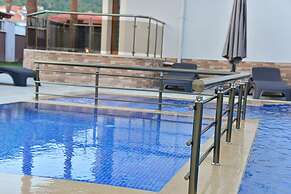 Dolphin Apart & Hotel