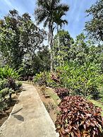 La Foresta Nature Resort