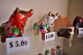 Kangaroo Wasi Airport Bed & Breakfast