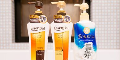 My Pavilion to Arasiyama & Gion