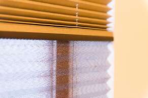 My Pavilion to Arasiyama & Gion