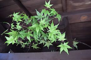 My Pavilion to Arasiyama & Gion