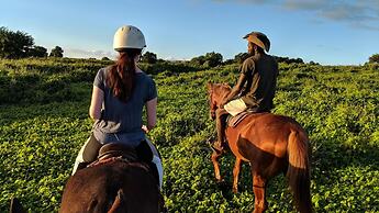 Tanna Evergreen Resort & Tours