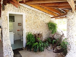 Tanna Evergreen Resort & Tours