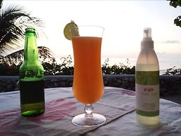 Tanna Evergreen Resort & Tours