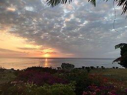 Tanna Evergreen Resort & Tours