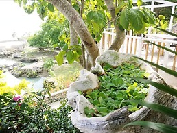 Tanna Evergreen Resort & Tours