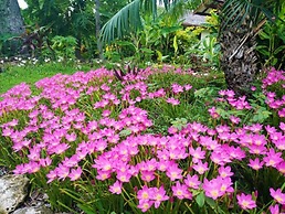 Tanna Evergreen Resort & Tours