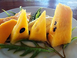 Tanna Evergreen Resort & Tours