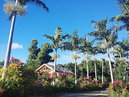 Tanna Evergreen Resort & Tours