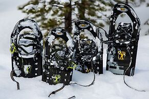 Northern Lights Village Saariselkä