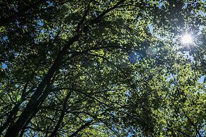 Relais Cocci Grifoni - Panoramic Wine Resort