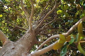 Relais Cocci Grifoni - Panoramic Wine Resort