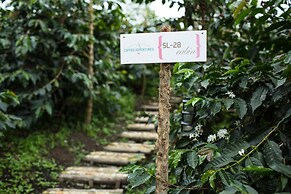 La Palma y El Tucan Hotel