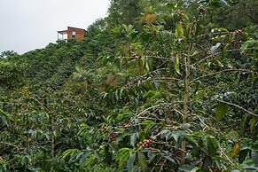 La Palma y El Tucan Hotel