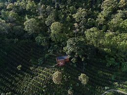 La Palma y El Tucan Hotel