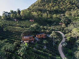 La Palma y El Tucan Hotel