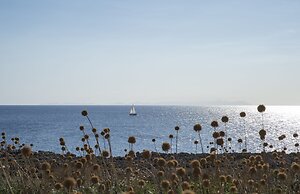 Pierre & Vacances Menorca Cala Blanes