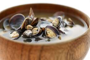 Hotel Sunresort Shonai