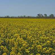 Royal Emporium Incheon Airport Hotel