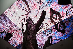 Vista Walkerhill Seoul