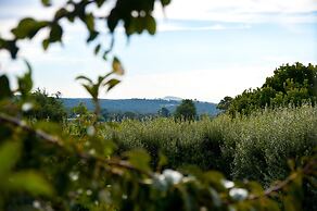 Daylesford House Studio