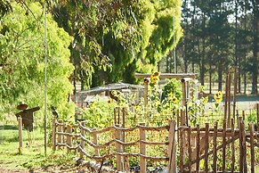 Olio Bello Lakeside Glamping