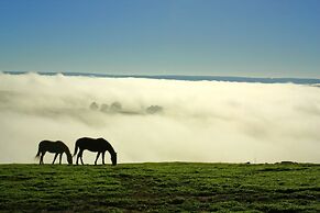 Balingup Heights Hilltop Forest Cottages